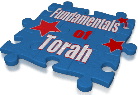 edited-fundamentals-final